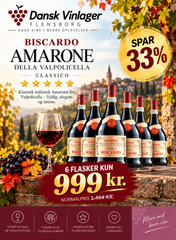 Biscardo Amarone Della Valpolicella Classico 6 fl. a 0,75L