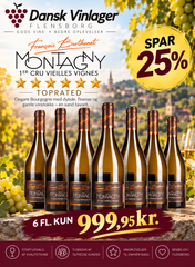 Berthenet Montagny 1er Cru Vieilles Vignes 6 fl. a 0,75L
