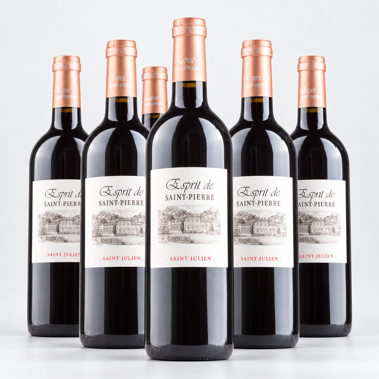 Esprit de Saint-Pierre Saint-Julien 6 fl. 0,75L